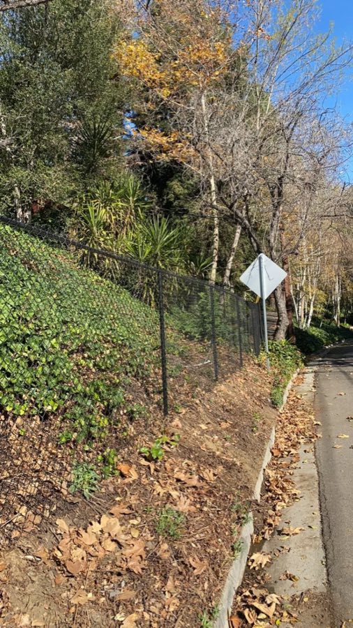 Chain link fence along a hillside